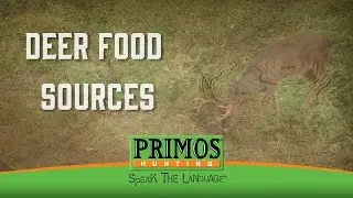 How To Find Food Sources for Deer