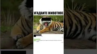 #бабки #смех #анекдот #доктор #мужжена#funny #fun #memes #funnyvideo #funnyshorts #lustigesVideo