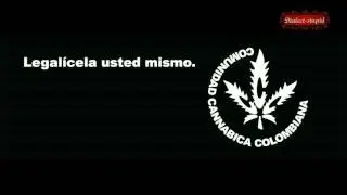 Don Marcha Hablando sobre el Sativex | En La Emisora Morada Cannabica