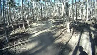 You Yangs Track 15 Chainsaw