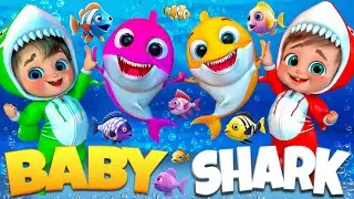 Baby SHark Family Song  | Fun with Baby Shark | Nursery Rhymes & Kids Songs #babyshark