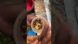 I only eat spicy food | চানাচুর #shorts #youtubeshorts
