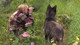 AU PAYS DU LOUP avec Gisèle Benoit, Épisode 17 – Le peuple des bestioles