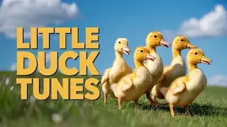 The Little Ducks Song | Fun English Kids Rhyme with Quack Quack and Cute Animal Voices