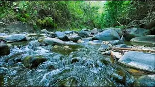 Mountain Stream Flowing Water &ndash; Relaxing River Sounds for Sleep, Focus & Calm Mind
