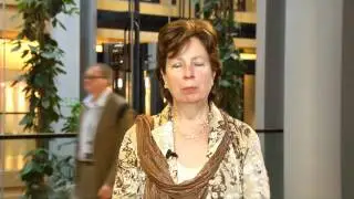 Diana Wallis discusses lobbying developments