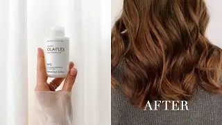 Olaplex Treatment | Repair & Restore Your Hair at Primp & Proper Vancouver!