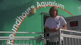 Footage of the Roundhouse Aquarium Renovation