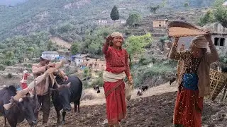 &ldquo;Summer Survival in Nepali Village | Daily Work & Cultural Life || Simple Living in Nepal