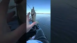 Pesca com Ark 1290 no S&atilde;o Gon&ccedil;alo/Lagoa dos Patos/ Laranjal