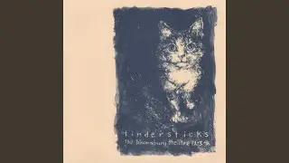 Tiny Tears (Live At The Bloomsbury Theatre, London / 1995)