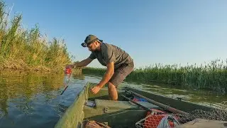 La pesca aquí está increíble: carpas enormes y lobinas que atacan el señuelo sin parar