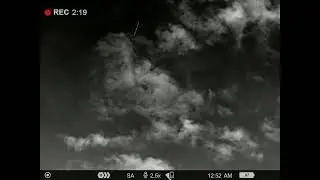Nighttime Bird Migration on Thermal Scope