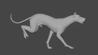 Dog Run Cycle