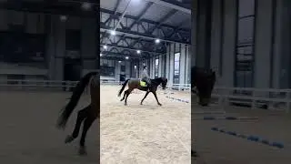 The long-awaited Isaac Isaac Equineintl mini-class kneading the obstacle horse in the way