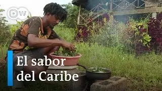 Grenada, la 'Isla de las Especias' | DW Con sabor y saber