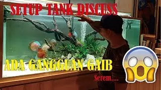 Membuat Aquascape Untuk Ikan Discuss , The Aquatic Freak Project Episode #3