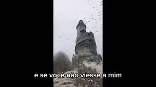 Sina De Ofélia  - Maya Reis