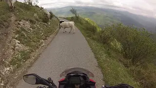 Dal Passo della Maddalena (alta val Boreca) a Gorreto.