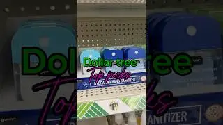 Top beauty products from Dollar Tree ✨ #dollartree #dollartreehaul #bougieonabudget