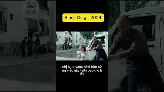 Review phim: Cẩu Trận - Black Dog 2024 #phimtinhcam #phimlangman #phimhay