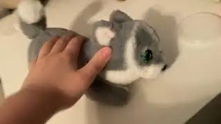 Little Live Pets 2023 My Really Real Puppy (Aurora)