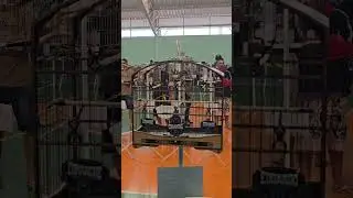 COMANCHE NA ACPNG NOGO GAMA TORNEIO DE PAPA-CAPIM  E COLEIRO