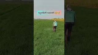 गहू पिकासाठी रामबाण फवारणी 🔥 मावा, रोग, फुटवा &ndash; सगळं कंट्रोल🌱🌾💯