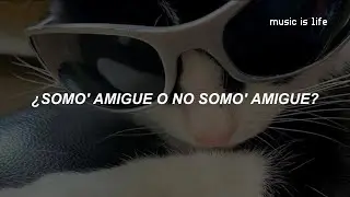 somo amigue o no somo amigue tiktok | Tav Lust - Amigue (Letra)
