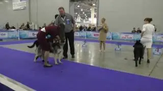 СЮ сравнение
