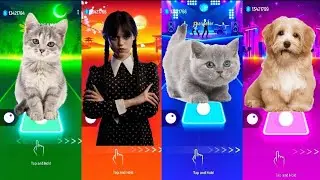 Cute Dogs VS Cute Cats | Bongo Cat | Bongo Dog | Tiles Hop EDM Rush