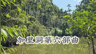 (已售出）有天然水池檳榔園農地，地6.3分，花蓮光復｜專線0952-686-970盧榮昌