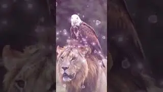#nature #bird #animals #birds #instagram #india #usa #birdspotting #dubai #dubaiwildlife #shorts #1k