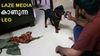 LEO മൊബൈലില്&zwj; LAZE media കാണുന്നേ🥰🥰🥰