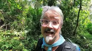 Mt. Cameroon National Park Entrance Gate ** Nov. 2024
