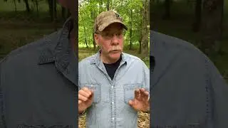Tick Less bear hunting with Tom Nelson
