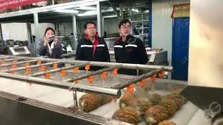 Video About The Pineapple Sauce Processing Line