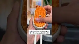 This Spray Comb Made Grooming My Cat SO Easy!