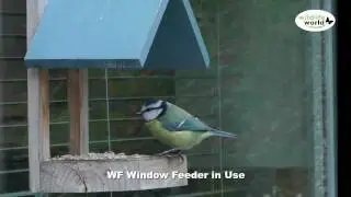 The Wildlife World Window Feeder product in use