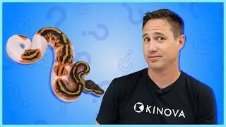 Caring for 2,000 snakes?! Meet the Kinova crew!