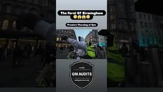 Birmingham City Feral Youths Attack Auditor!