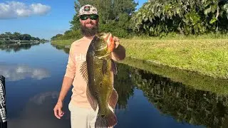 Peacock & Largemouth Bass Fishing