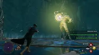 Prof. Rakham's trial Hogwarts Legacy, Final Boss