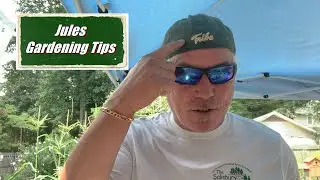 What Is Three Sisters Gardening Real Life Example Zone 7 B
