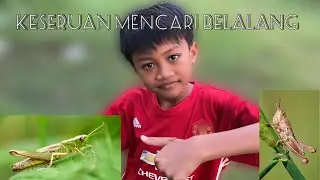 Keseruan mencari belalang #trending #animal 
