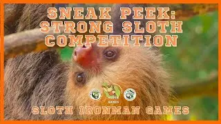 2023 Sloth Ironman Games | Strong Sloth Competition Sneak Preview