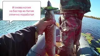 Baby Buster из китая и Salmo Slider F 10, сегодня сделали рыбалку!
