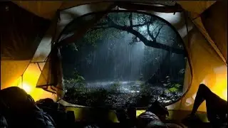 High-End Rain Sounds for Restful Sleep | Forest Sanctuary