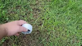 XLUX Soil Moisture Meter, Plant Water Monitor, Soil Hygrometer Sensor Review