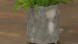 Martha Stewart Faux Bois Planter on QVC